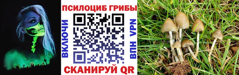 цена наркотик  Волчанск  Псилоцибиновые грибы ЛСД 